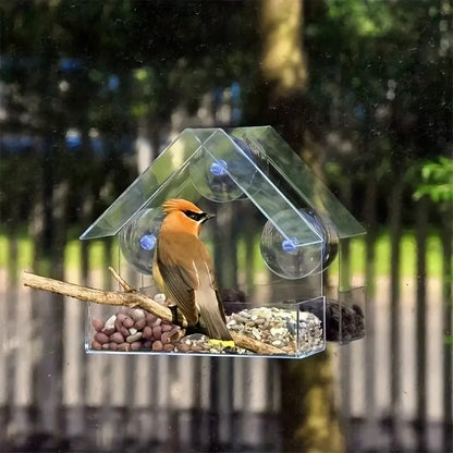 Clear Window Bird Feeder with Suction Cups - Outdoor Hanging Birdhouse
