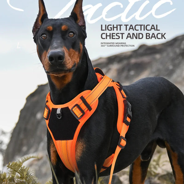 Reflective No-Pull Dog Harness - Adjustable Comfort Control