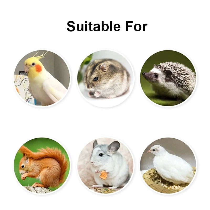 Detachable Bird Feeding Bowl - Transparent Hanging Feeder for Parrots & Small Birds