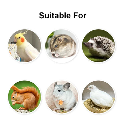 Detachable Bird Feeding Bowl - Transparent Hanging Feeder for Parrots & Small Birds