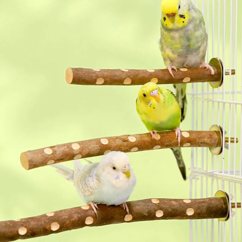 Natural Wood Bird Perch Stand - Branch Fork Perch for Parakeets, Budgies & Cockatiels