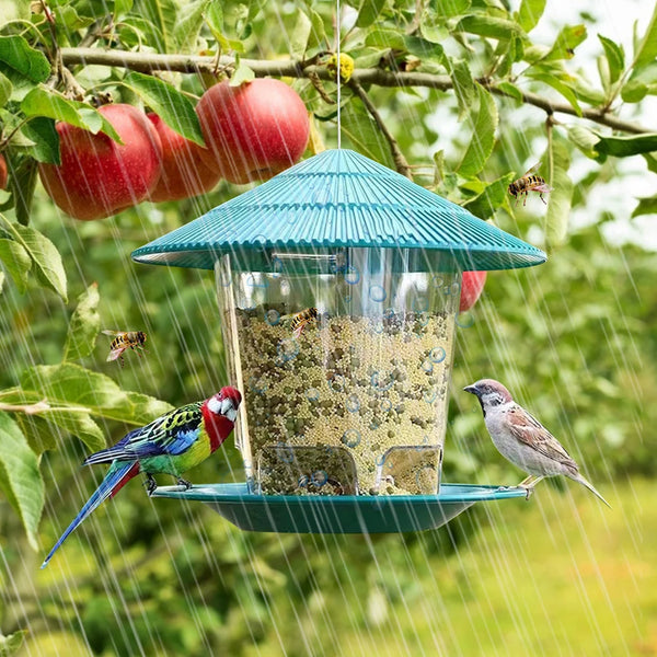 Automatic Foot-Activated Bird Feeder with Multiple Feeding Holes