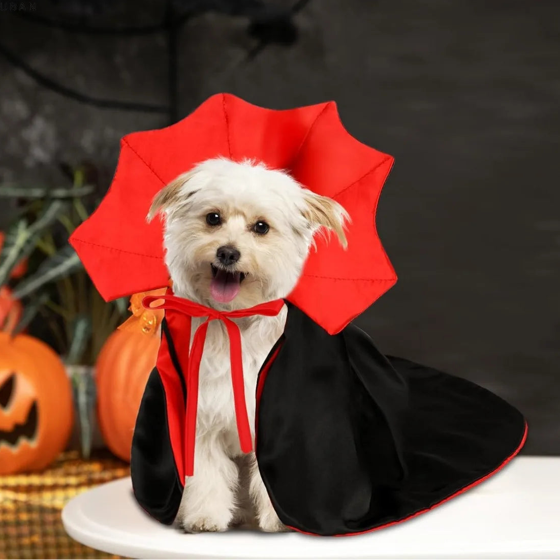 Pet Vampire Cloak - Halloween Costume for Cats & Small Dogs
