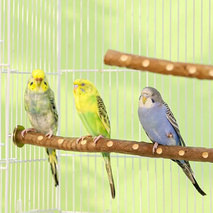 Natural Wood Bird Perch Stand - Branch Fork Perch for Parakeets, Budgies & Cockatiels