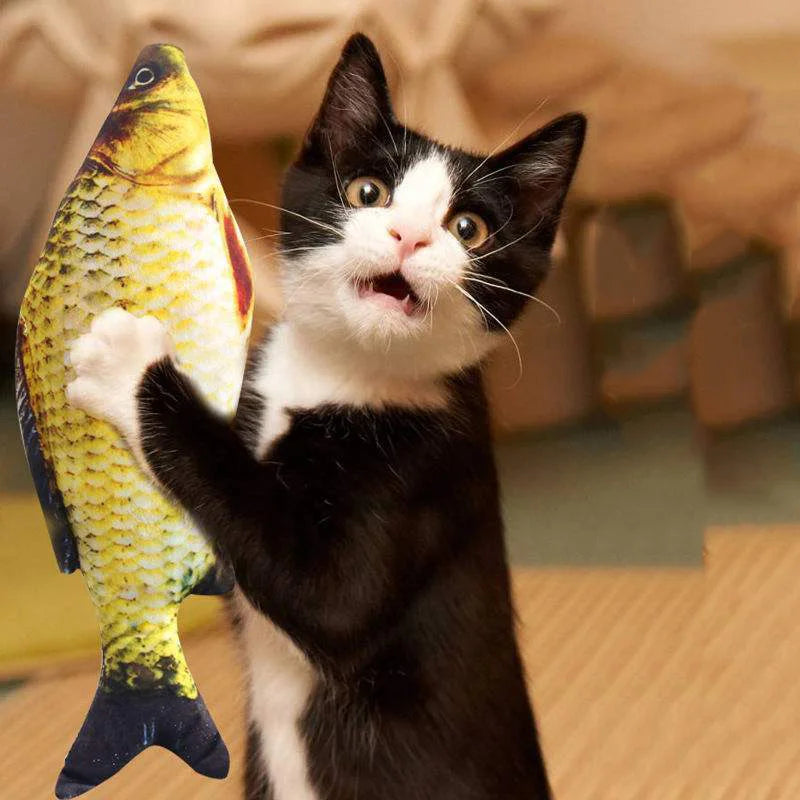 Interactive Cat Fish Toy Scratcher with Catnip