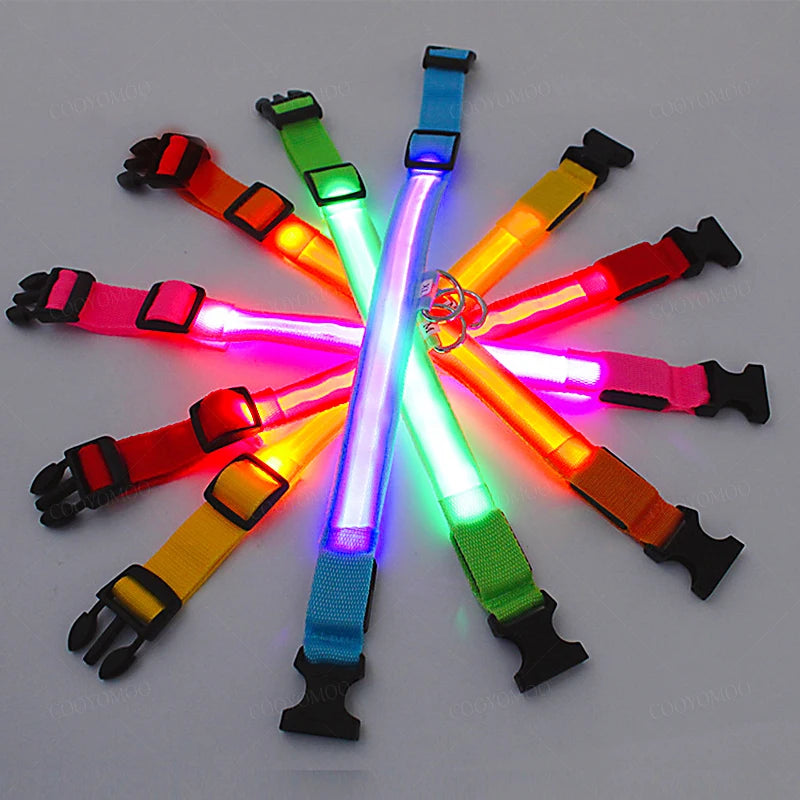 LED USB Rechargeable Dog Collar - Night Safety Light-Up Pet Collar