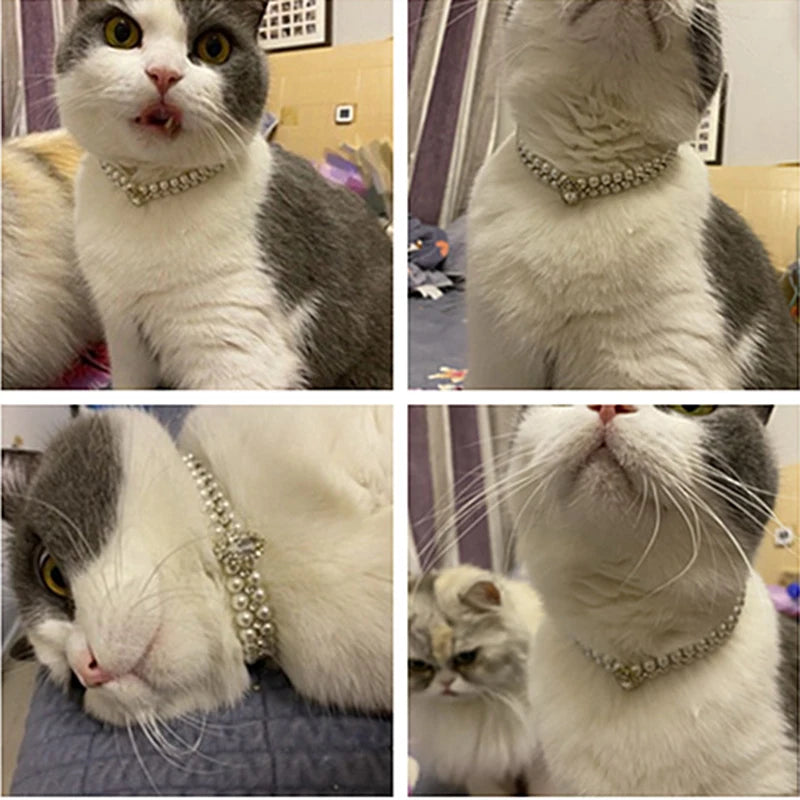 Luxury Pearl & Rhinestone Pet Collar Necklace for Cats and Small Dogs