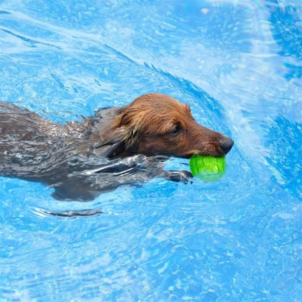 Interactive Squeaky Dog Chew Ball - Durable Bite-Resistant Toy