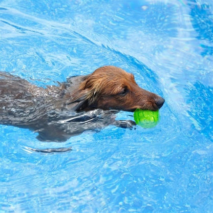 Interactive Squeaky Dog Chew Ball - Durable Bite-Resistant Toy