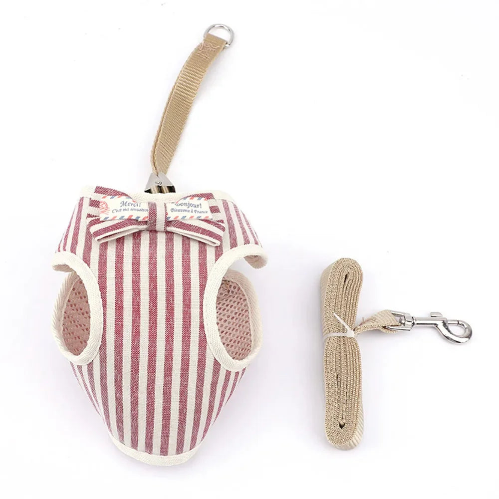 Premium Mesh Cat & Dog Harness with Leash Set