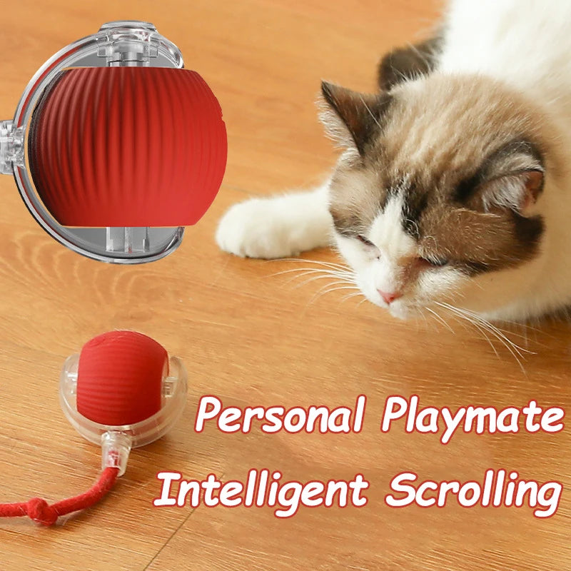Interactive Cat Ball Toy - Automatic Rolling Smart Pet Toy with Faux Tail
