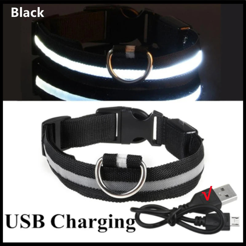 LED USB Rechargeable Dog Collar - Night Safety Light-Up Pet Collar
