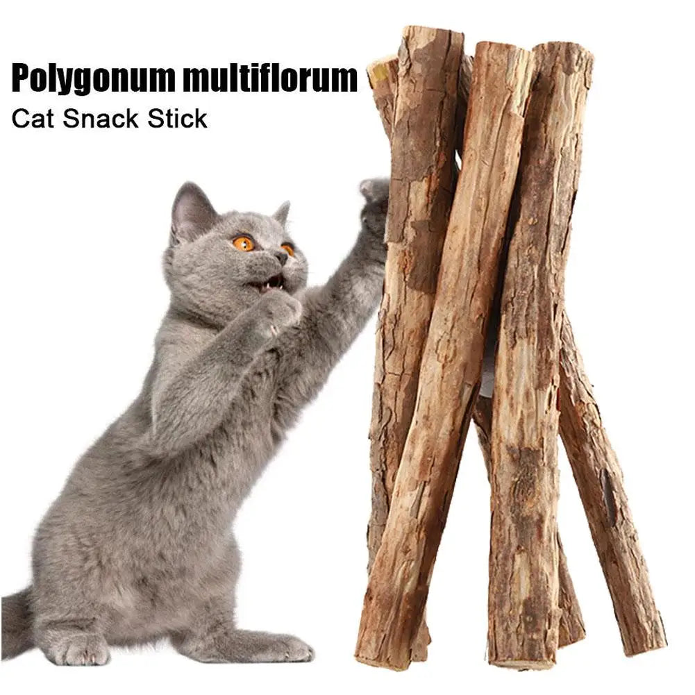 Natural Catnip Sticks for Cats - Molar Chew Toys