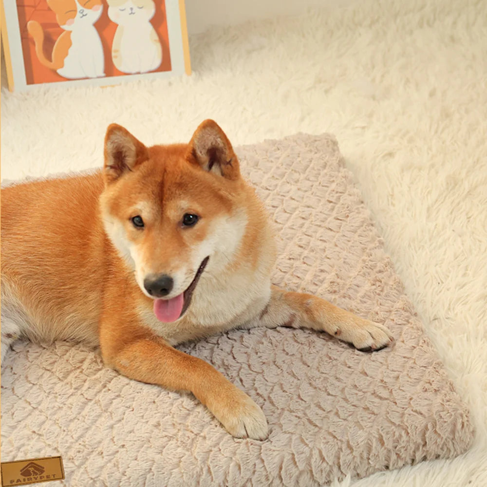 Premium Orthopedic Dog Bed with Removable Washable Cover