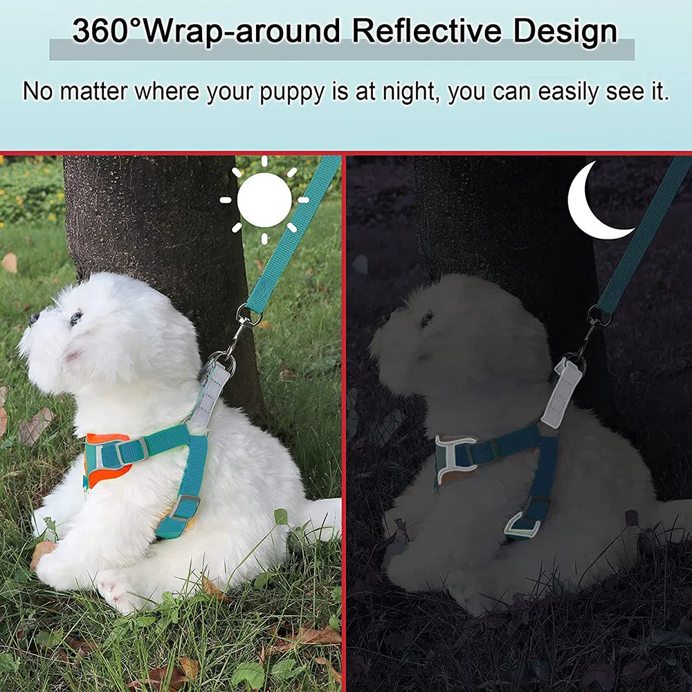 Adjustable Step-In Dog Harness with Reflective Safety Vest & Leash Set
