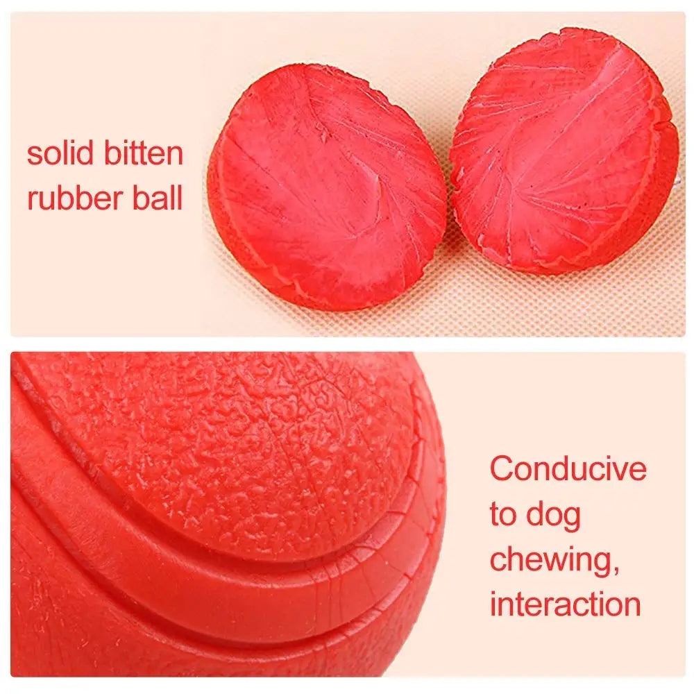 Durable Rubber Dog Ball - Bite-Resistant Interactive Toy for Small to Large Dogs