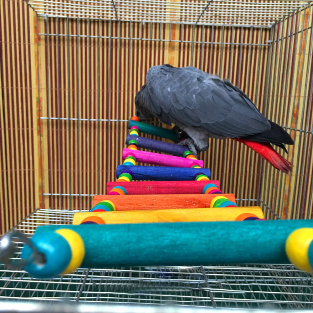 12-Step Wooden Bird Ladder - Colorful Climbing Bridge Toy for Parrots & Parakeets