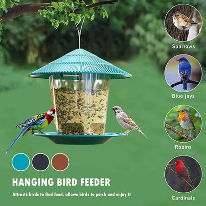 Automatic Foot-Activated Bird Feeder with Multiple Feeding Holes