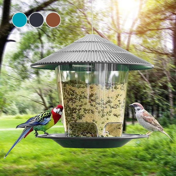 Automatic Foot-Activated Bird Feeder with Multiple Feeding Holes