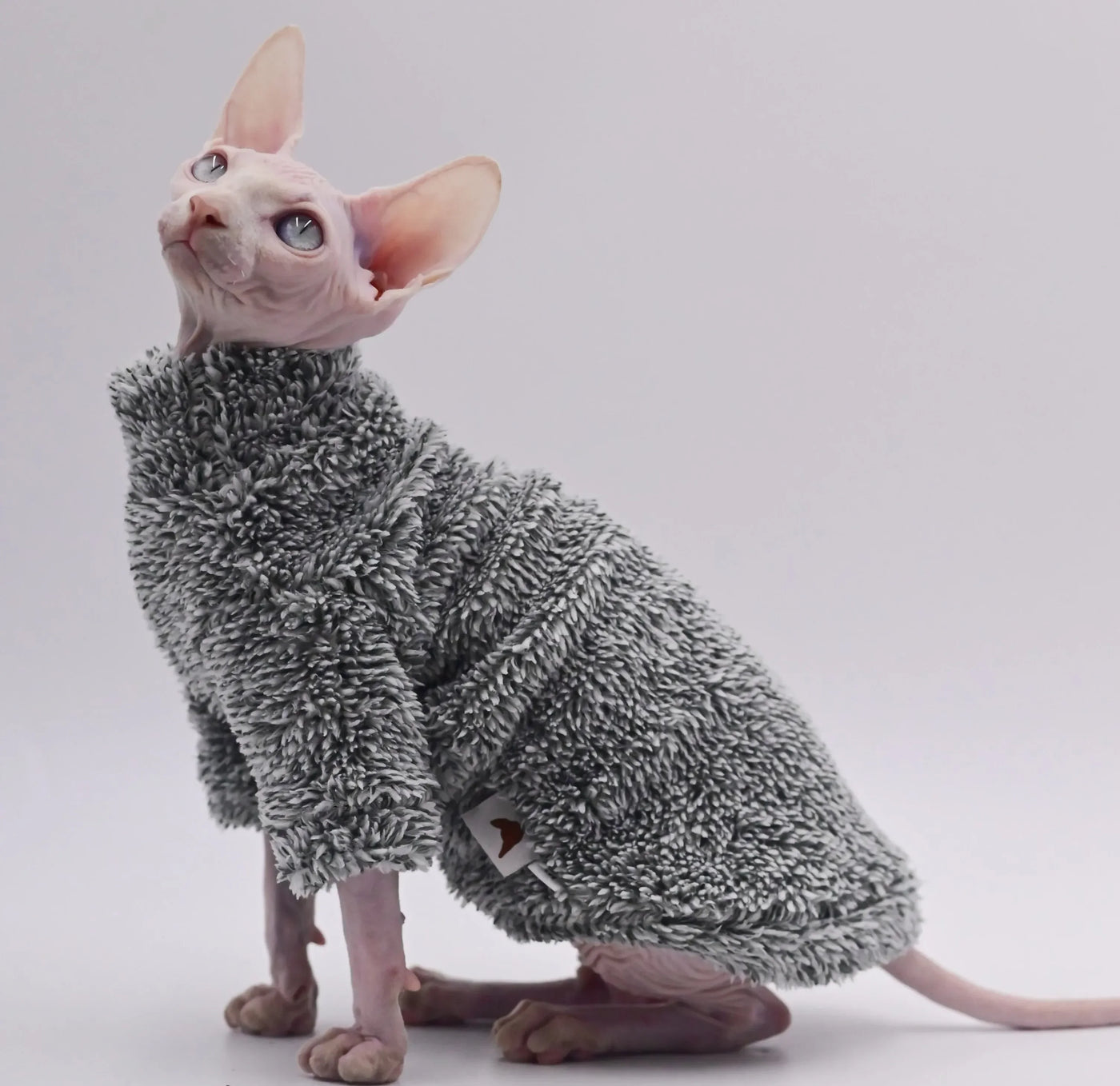 Premium Double-Sided Fleece Winter Jacket for Hairless Cats