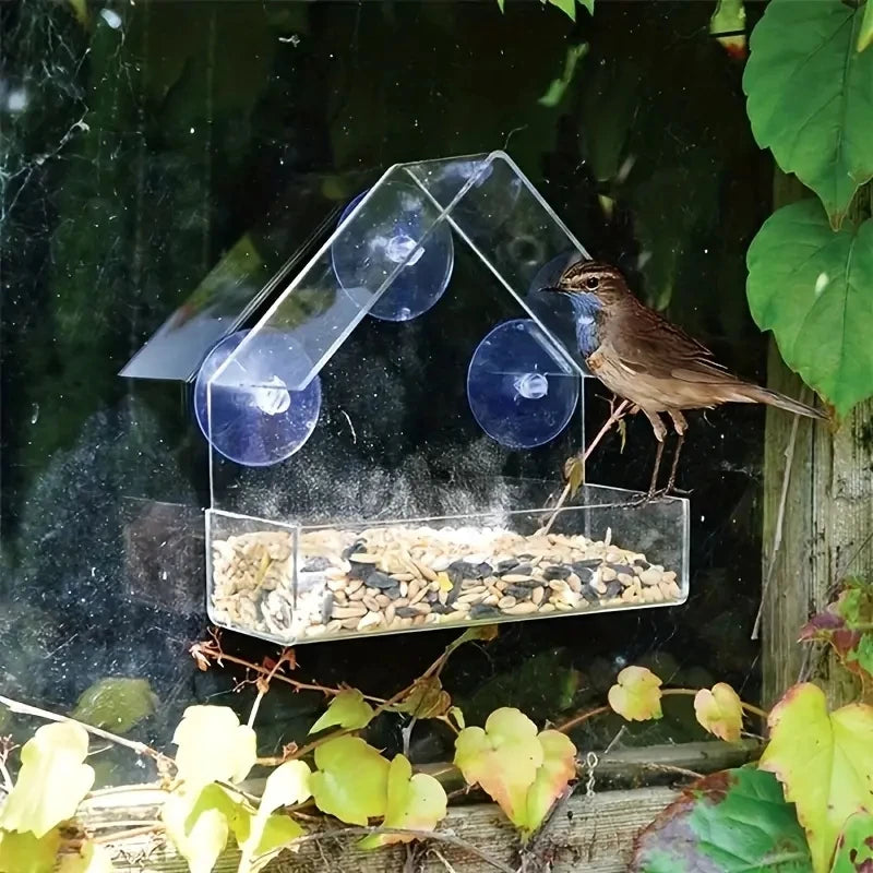 Clear Window Bird Feeder with Suction Cups - Outdoor Hanging Birdhouse