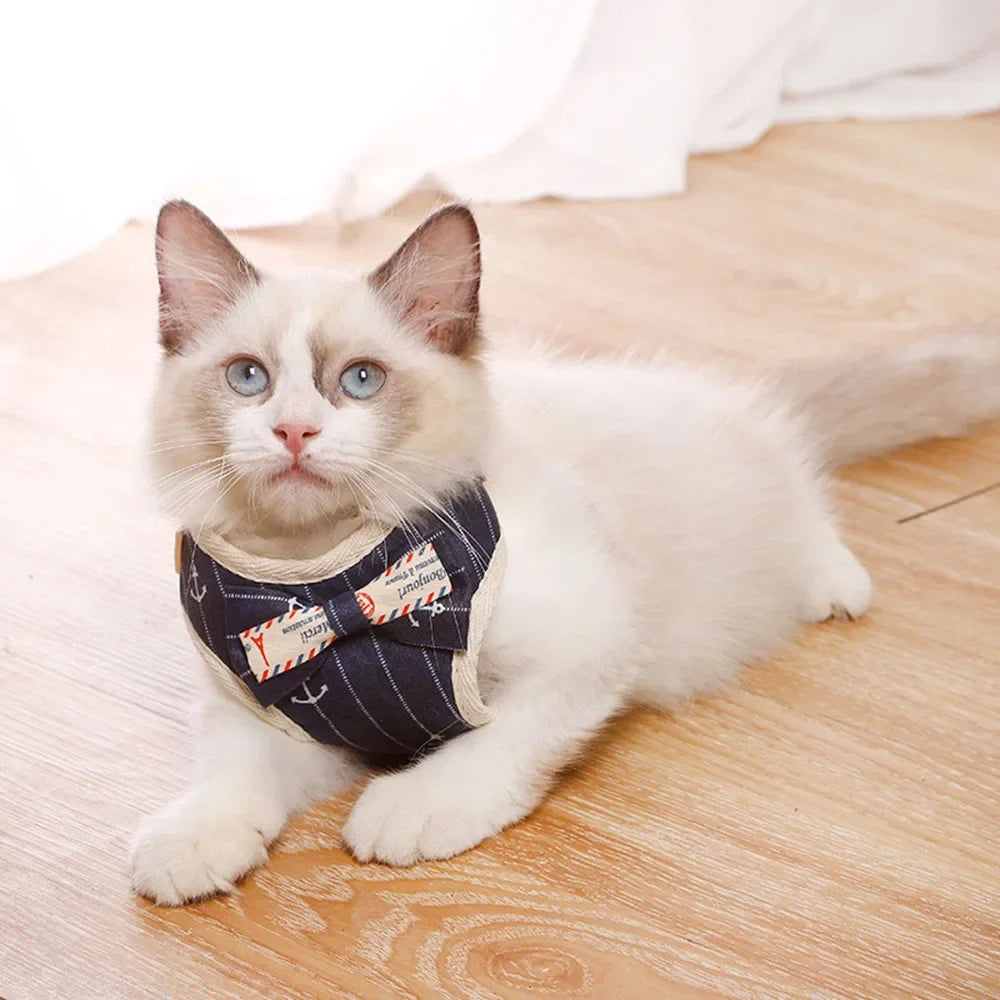 Premium Mesh Cat & Dog Harness with Leash Set