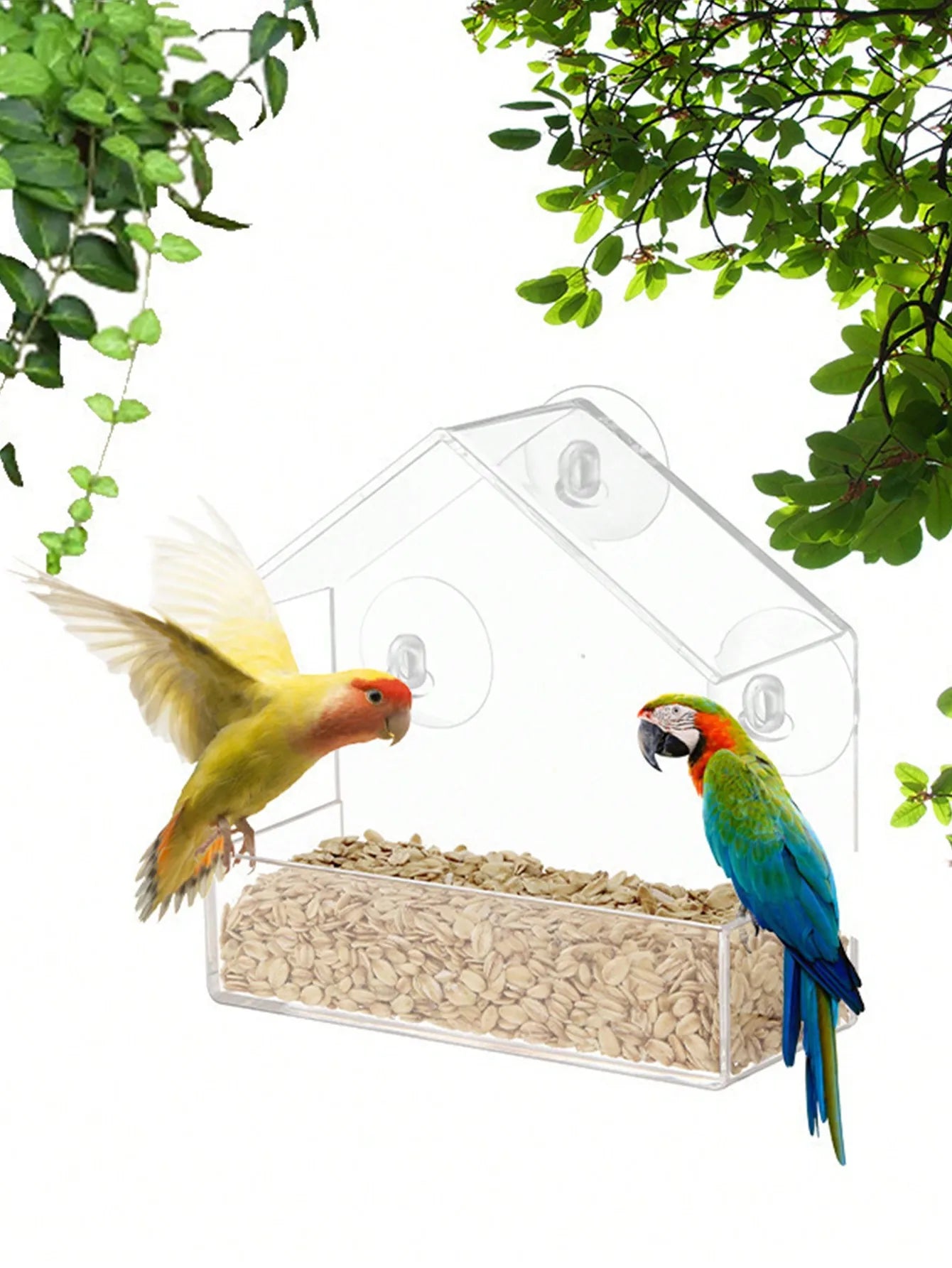 Clear Window Bird Feeder with Suction Cups - Outdoor Hanging Birdhouse