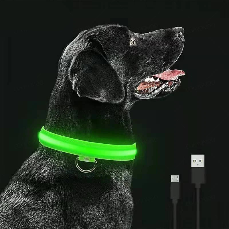LED USB Rechargeable Dog Collar - Night Safety Light-Up Pet Collar