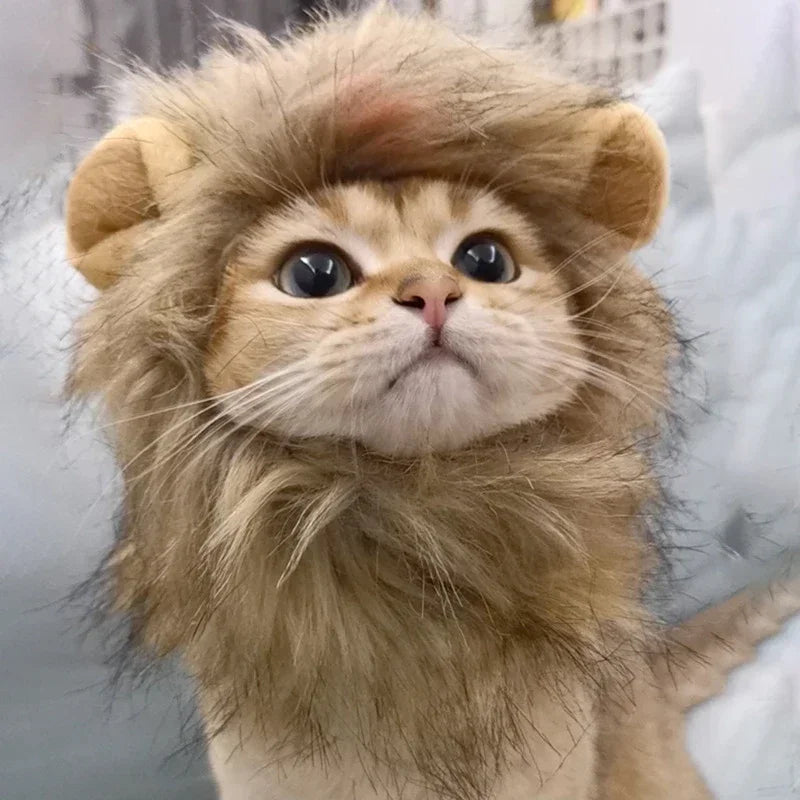Lion Mane Cat Costume - Adjustable Pet Headgear for Cats & Dogs