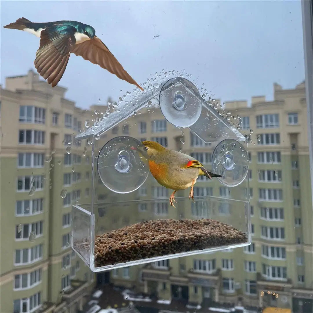Clear Acrylic Window Bird Feeder with Suction Cup - PetWorld
