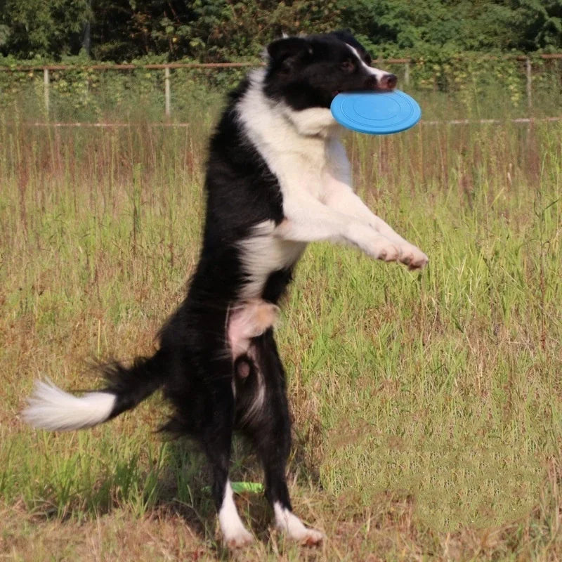 Durable Silicone Flying Disc Dog Toy - Interactive Training & Play