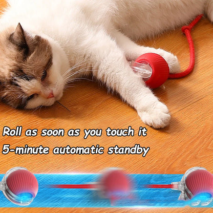 Interactive Cat Ball Toy - Automatic Rolling Smart Pet Toy with Faux Tail